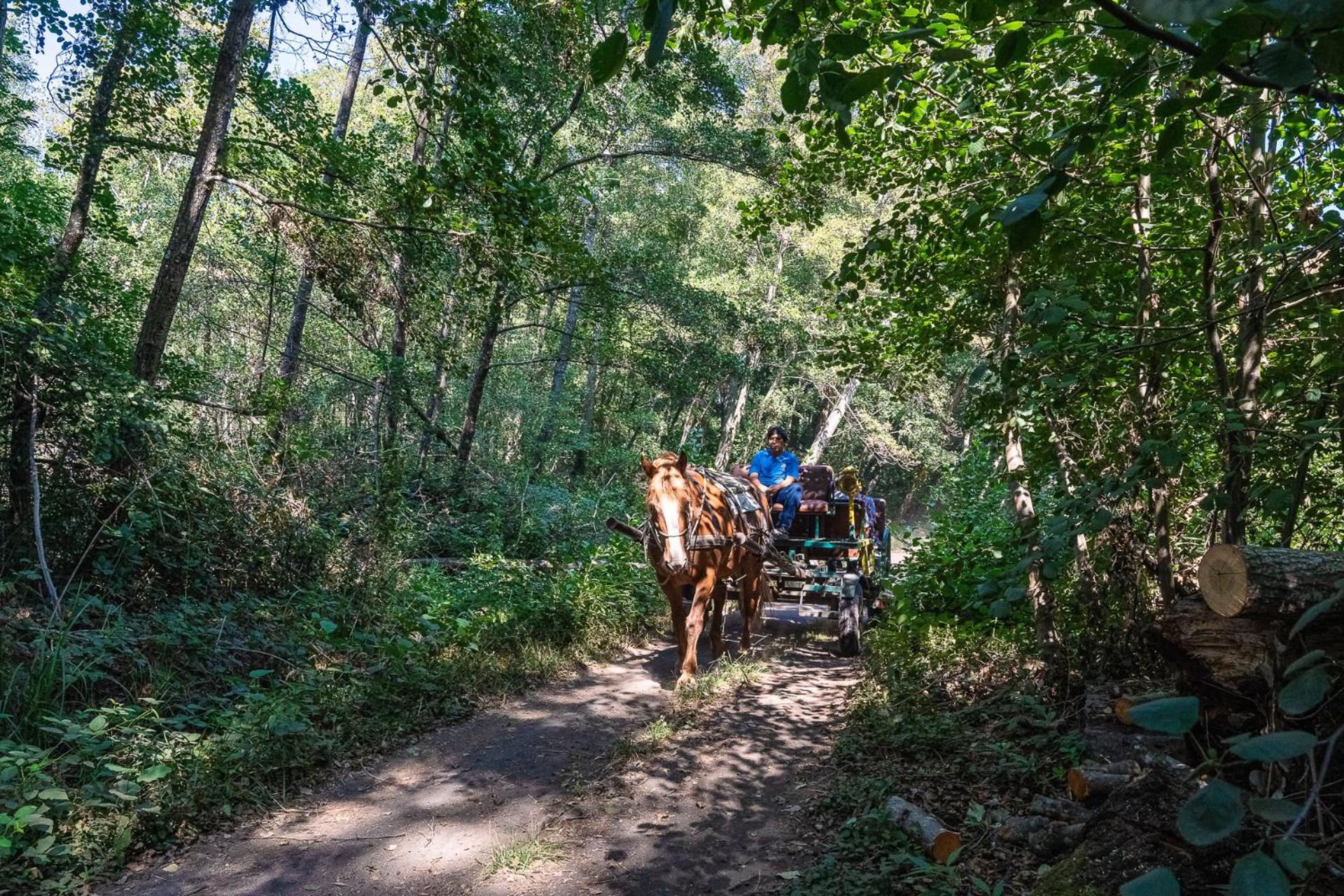 Hotel Salto Del Laja Los Ángeles Εξωτερικό φωτογραφία